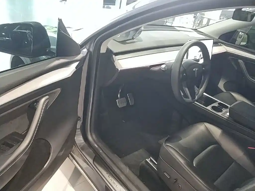 Tesla Model Y — миниатюра 16