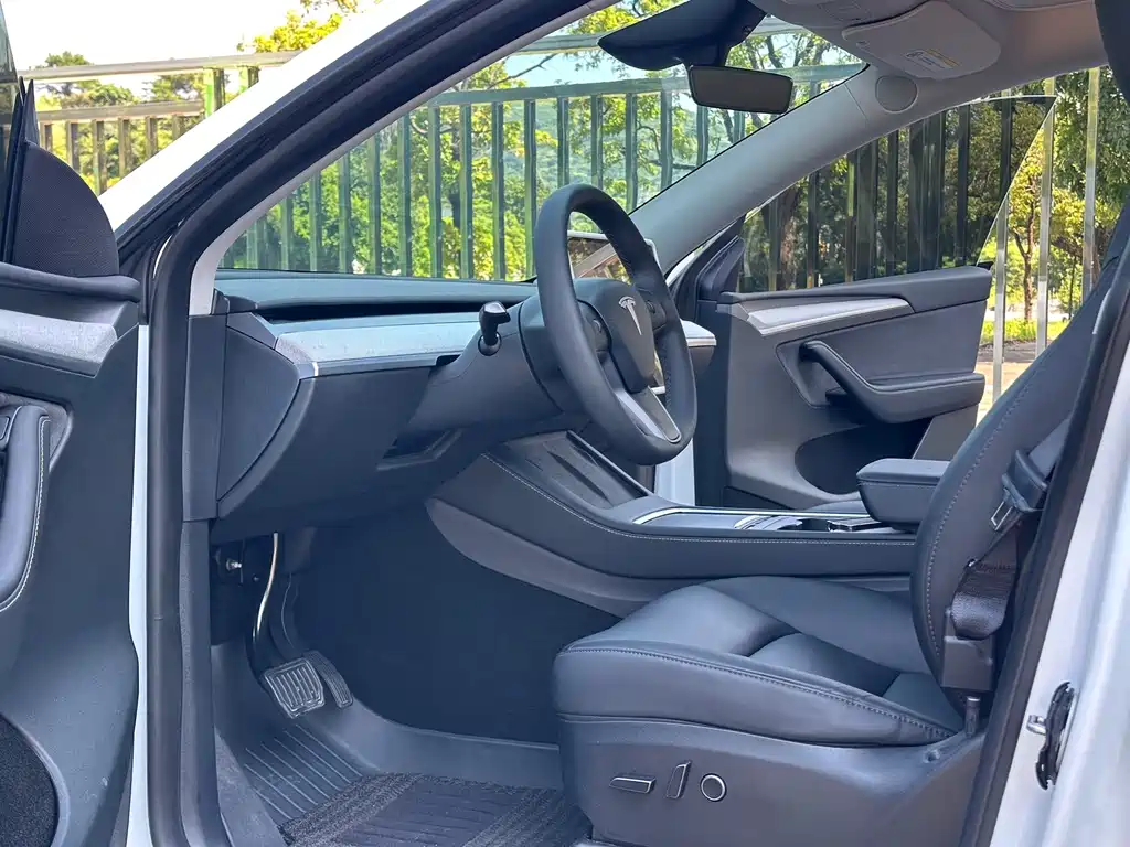 Tesla Model Y — миниатюра 6