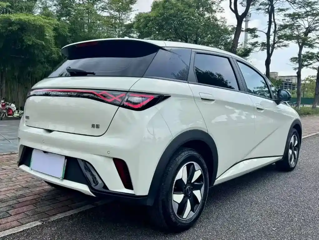 BYD Dolphin — миниатюра 7