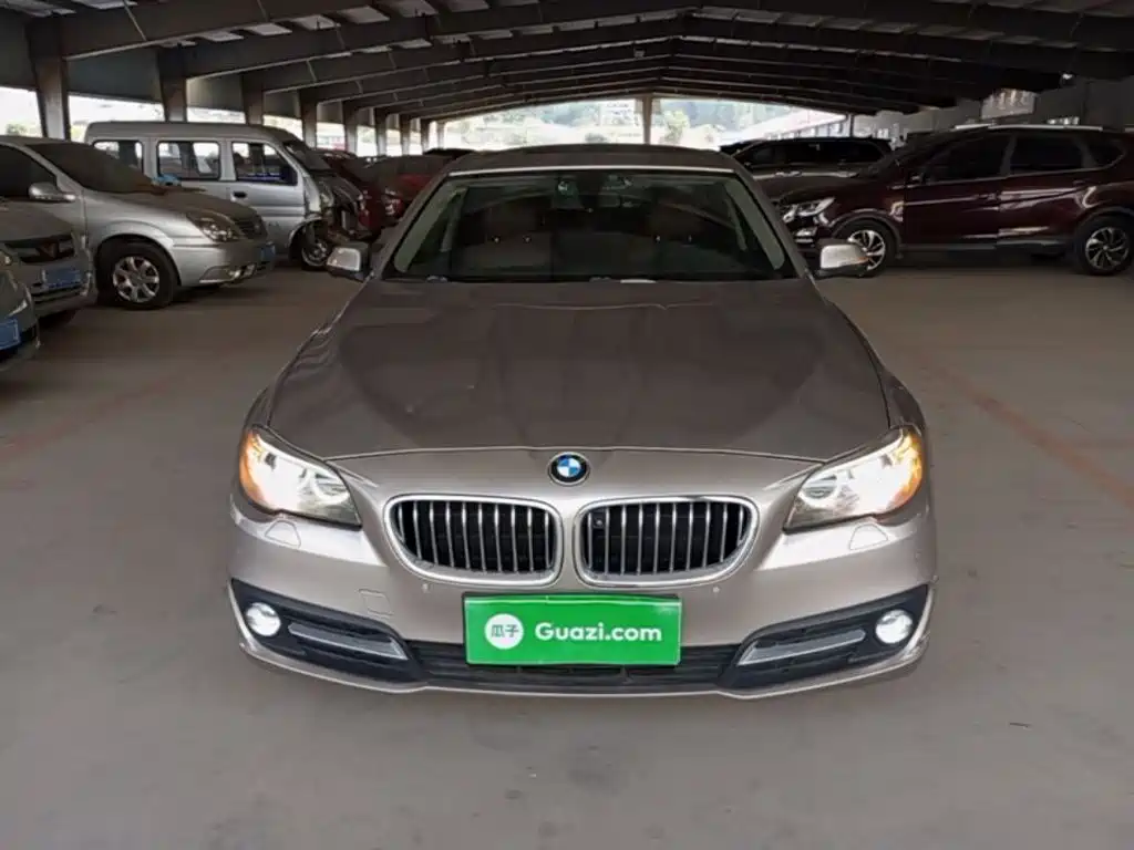 BMW 5 Series (Import) — миниатюра 3