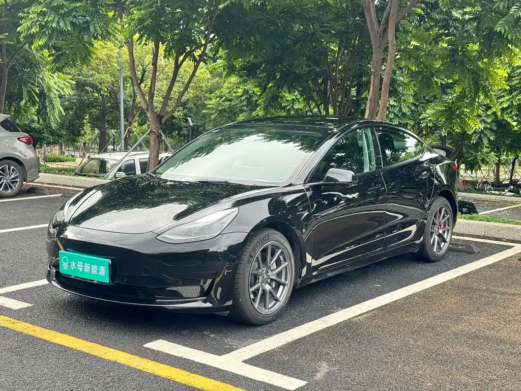 Tesla Model 3 2022