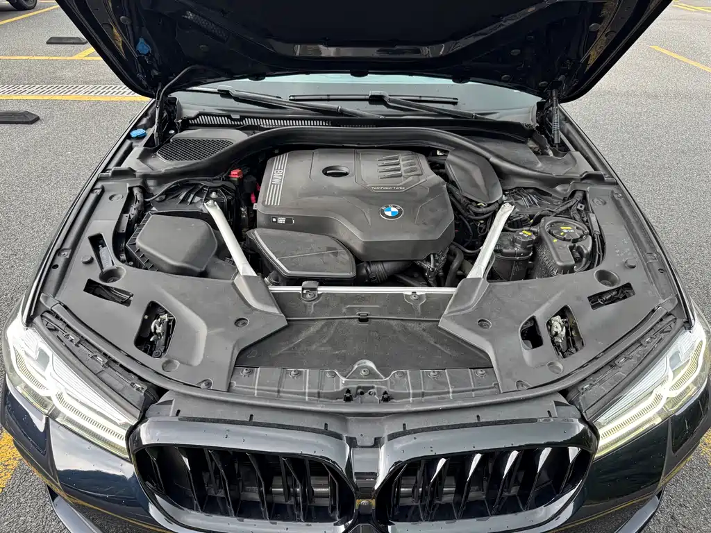 BMW 5 Series (Import) — миниатюра 13