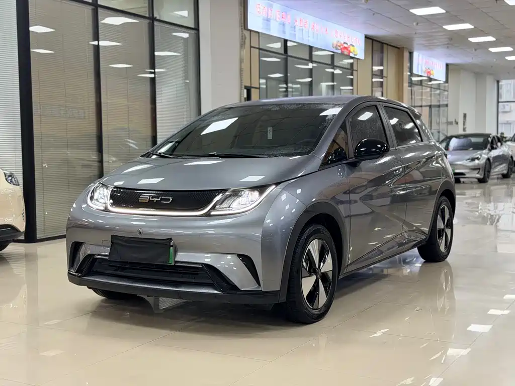 Byd Dolphin 2024