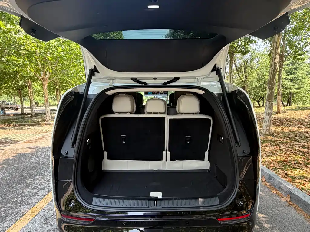 Li Auto MEGA 2025 Home