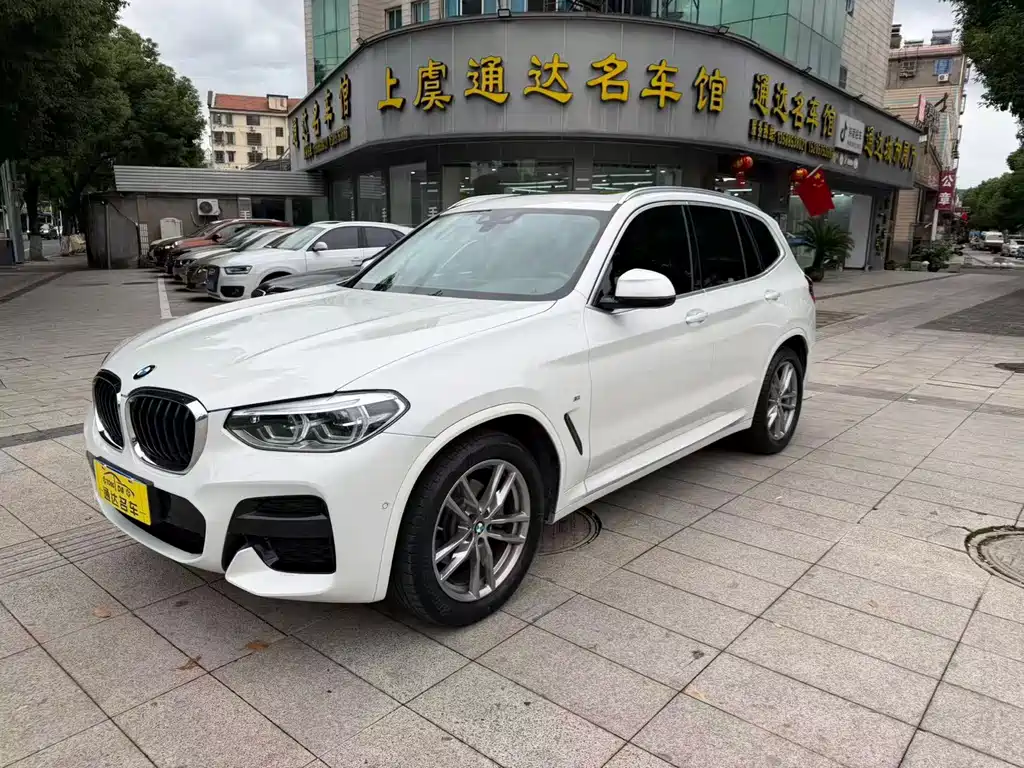 BMW X3 — миниатюра 2