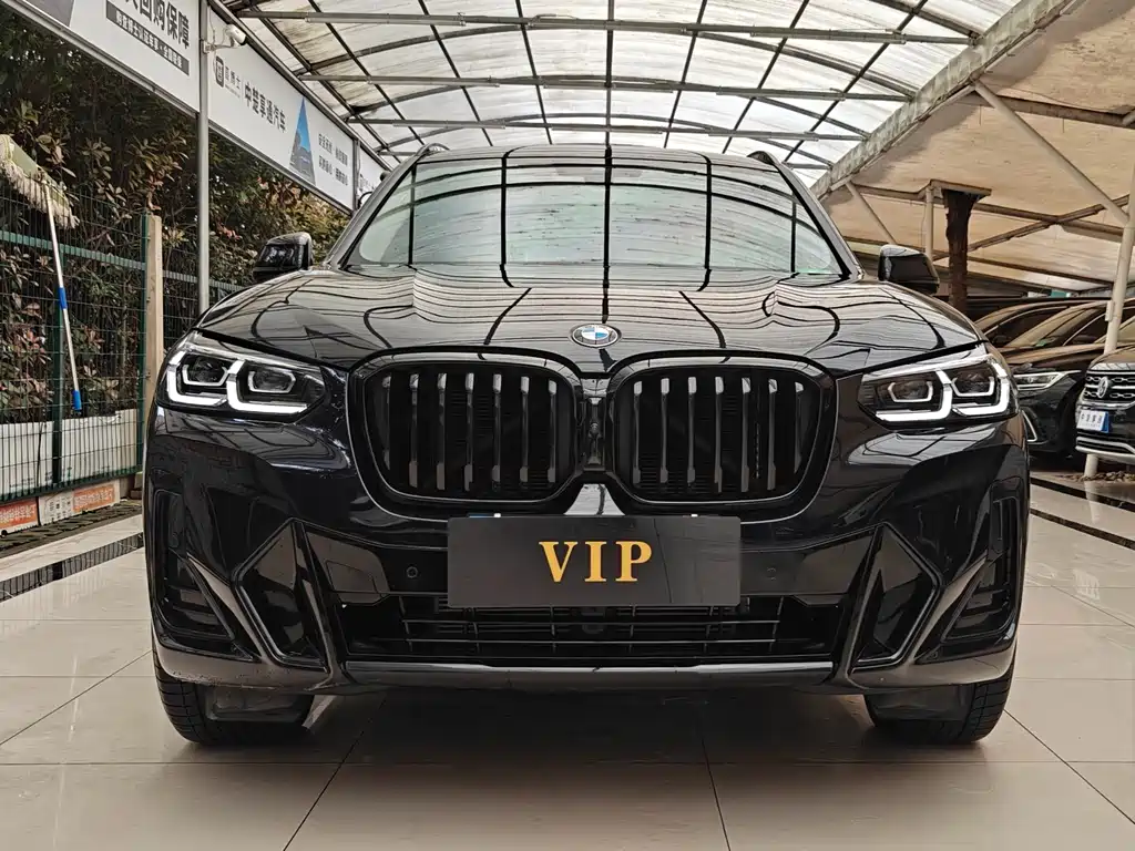 BMW X3 — миниатюра 2