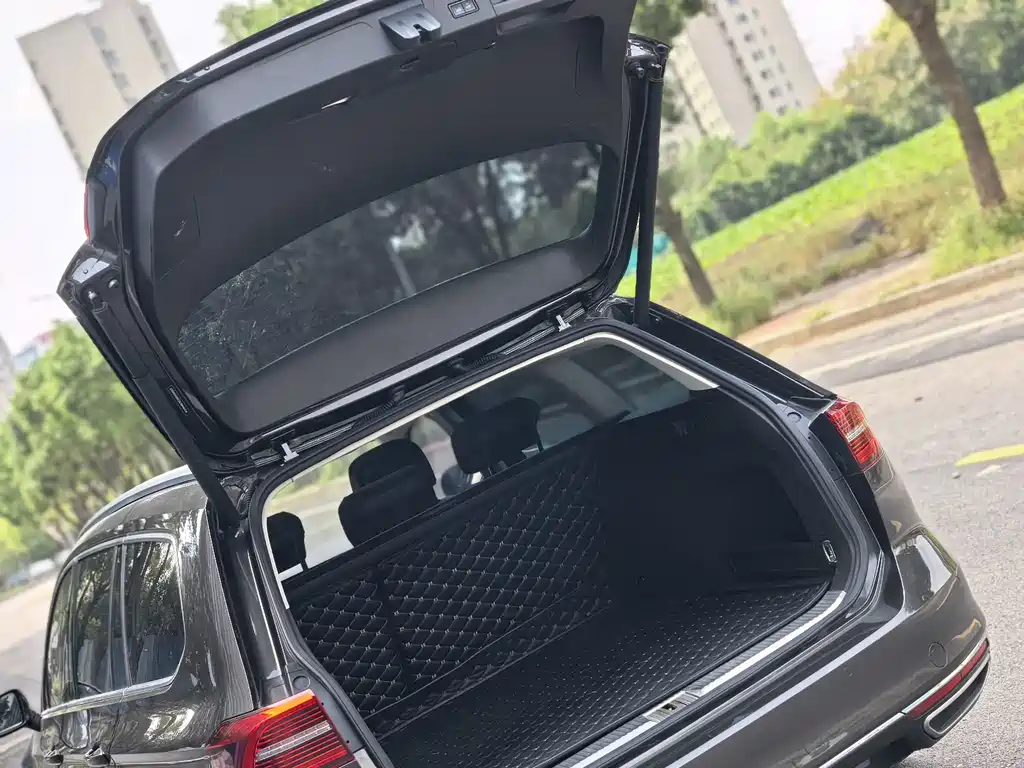 Volkswagen Viloran — миниатюра 9