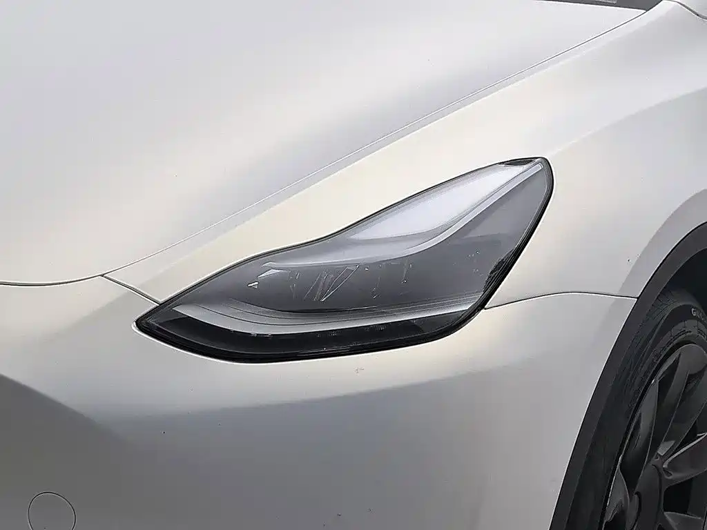 Tesla Model Y — миниатюра 7