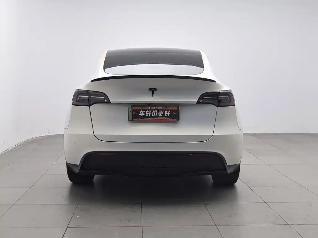 Tesla Model Y — миниатюра 4