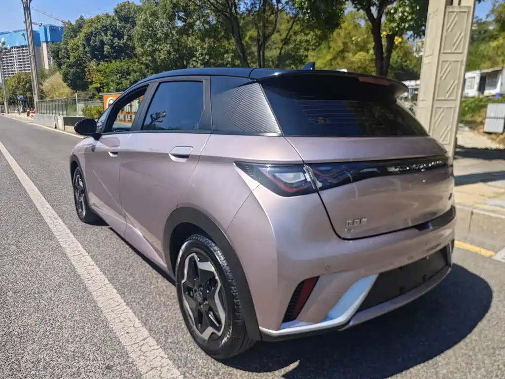 BYD Dolphin — миниатюра 4