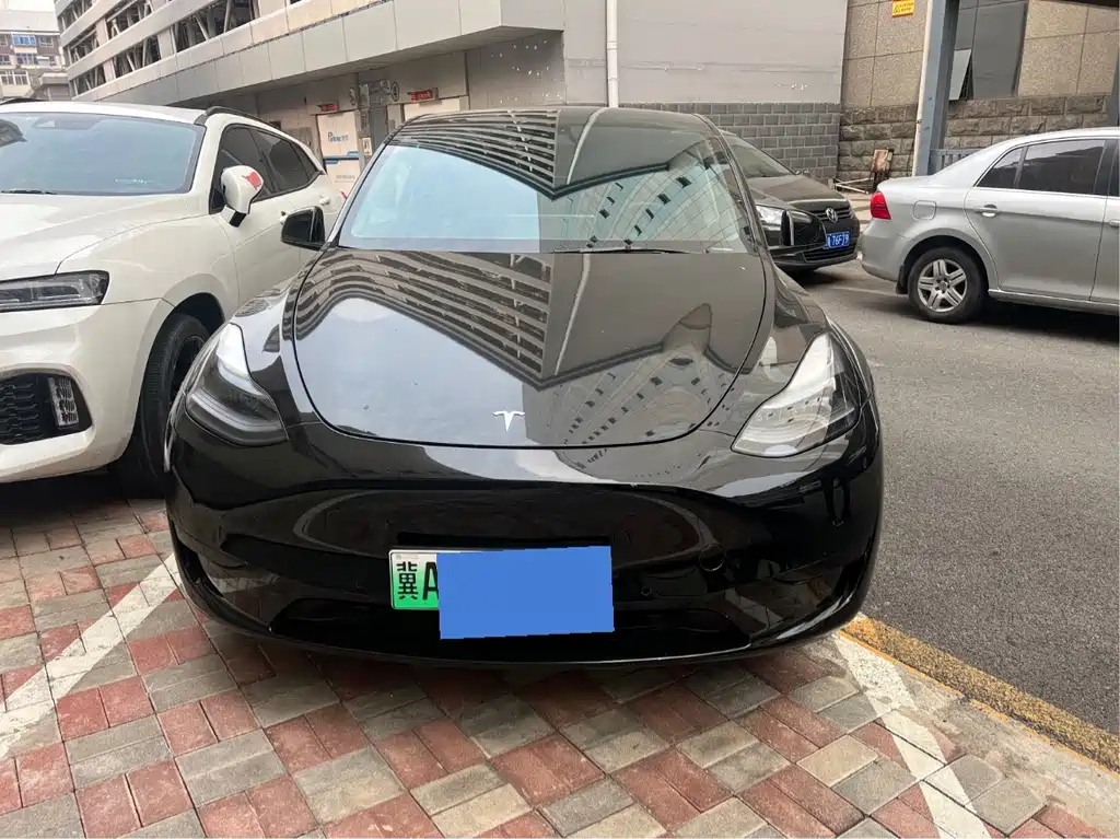 Tesla Model Y — миниатюра 2