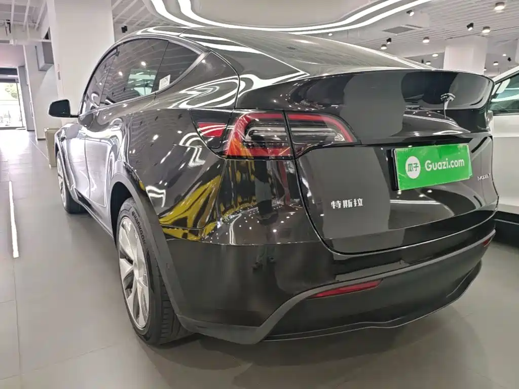 Tesla Model Y — миниатюра 5