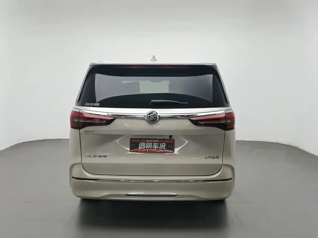 Buick GL8 — миниатюра 4