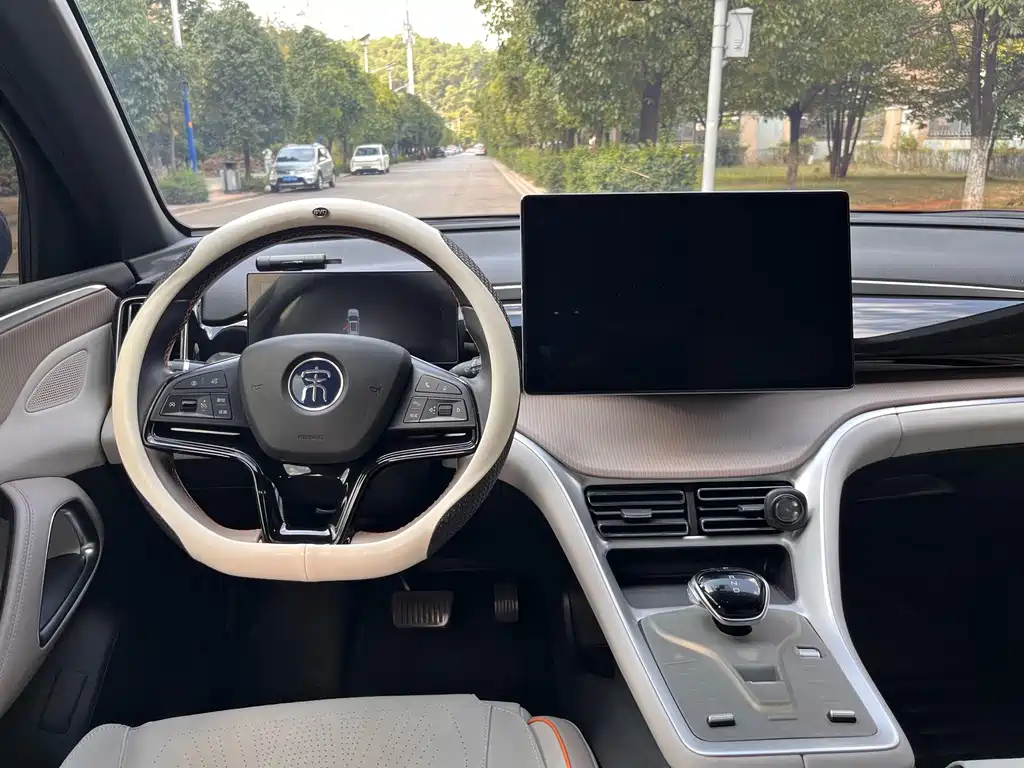 BYD Pro New Energy — миниатюра 26
