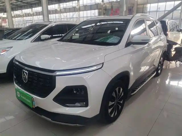 BAOJUN 530