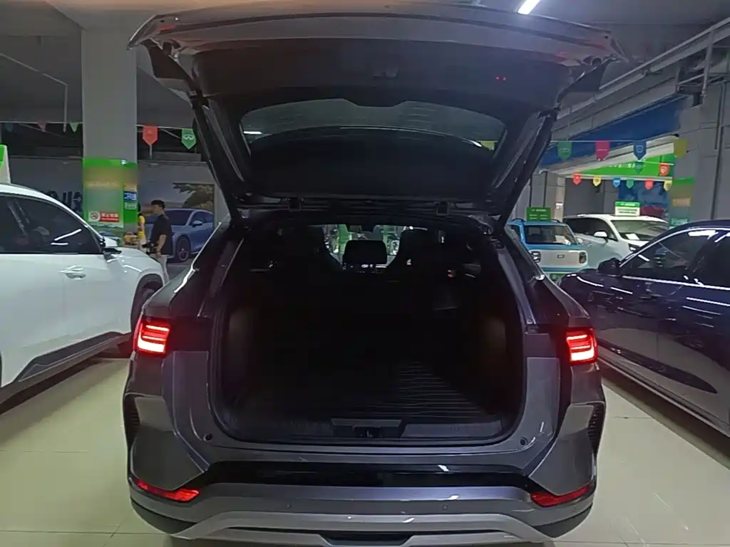 BYD PLUS New Energy — миниатюра 19