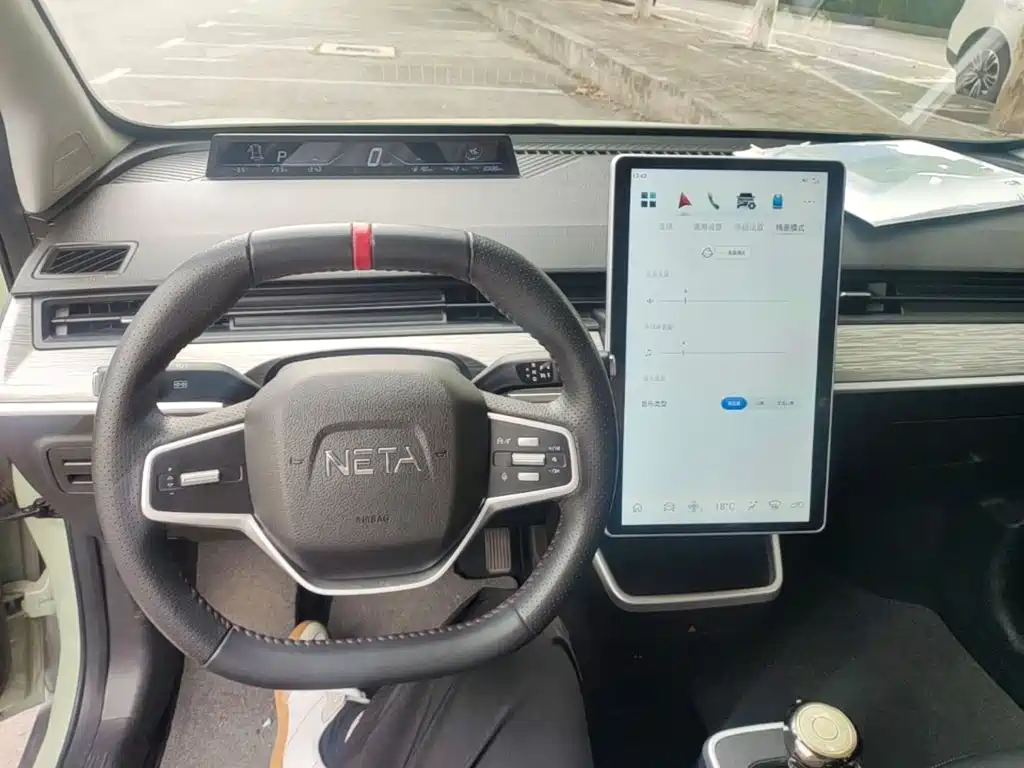 Neta Neta V — миниатюра 10