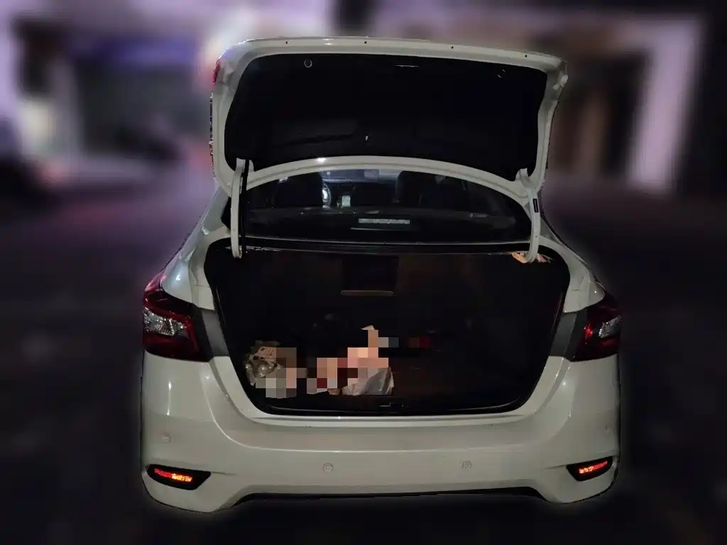 Nissan Sylphy — миниатюра 20