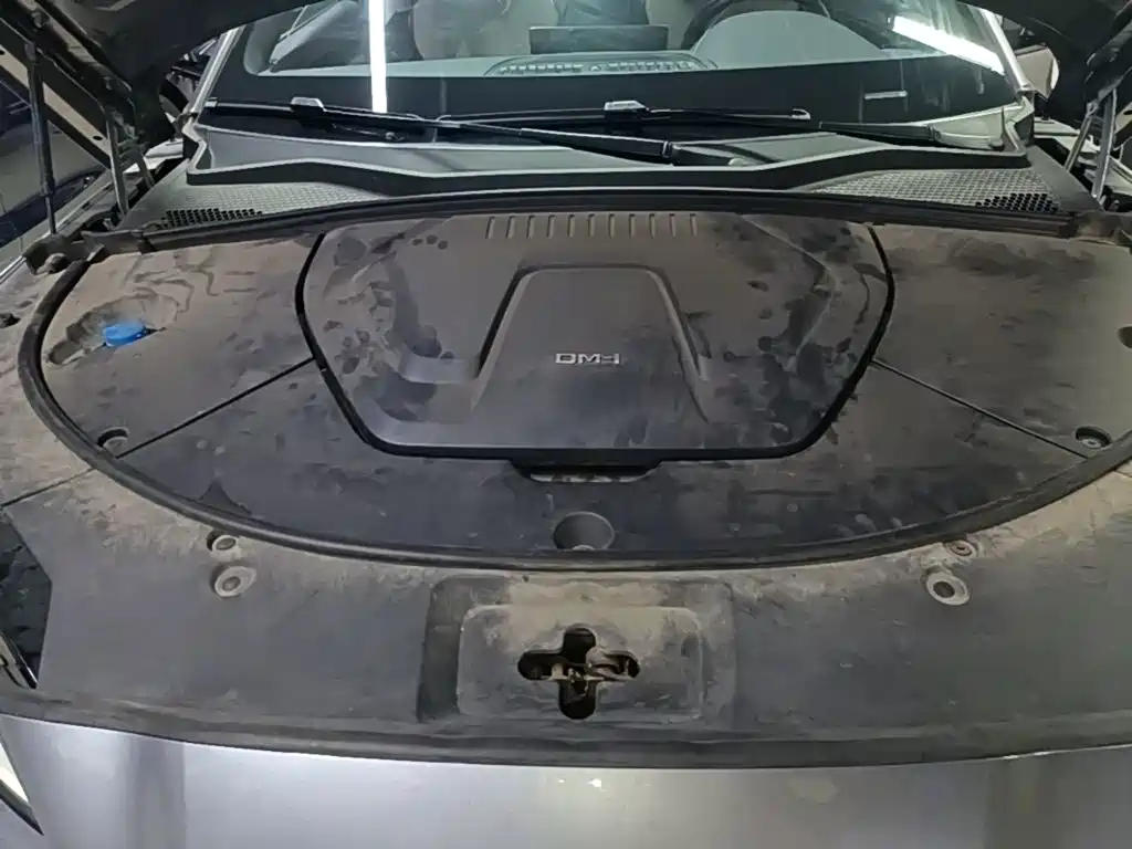 BYD PLUS New Energy — миниатюра 20