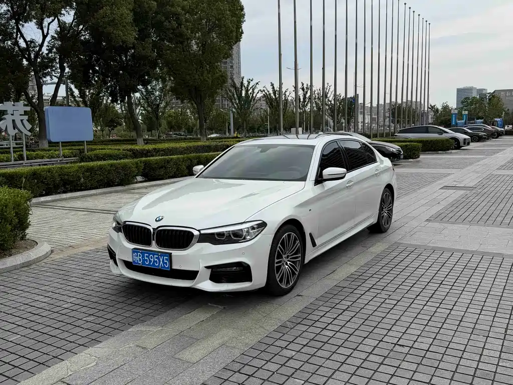 BMW 5 Series 2019