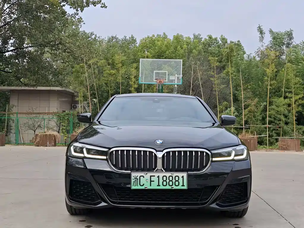 BMW 5 Series New Energy — миниатюра 3