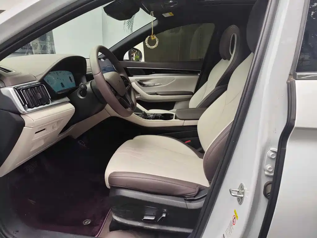 BYD SONGJIANG NEW ENERGY