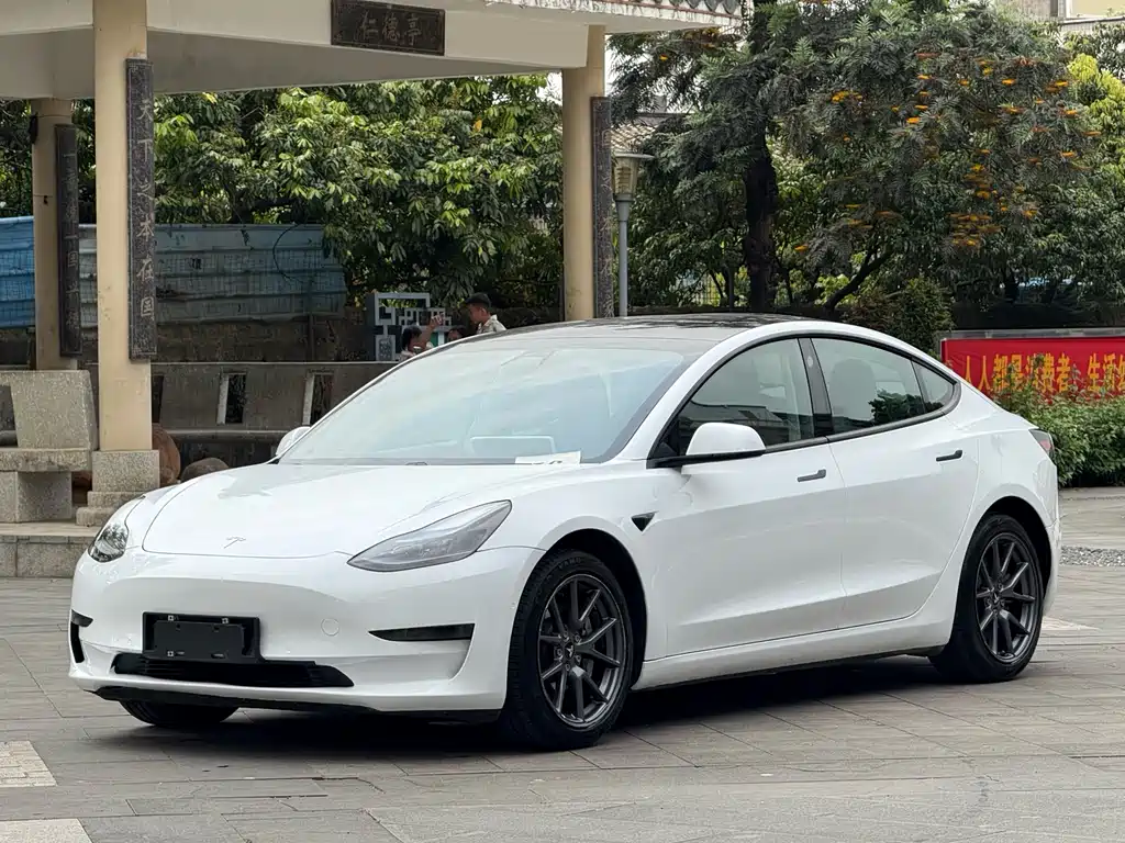 Tesla Model 3 2021