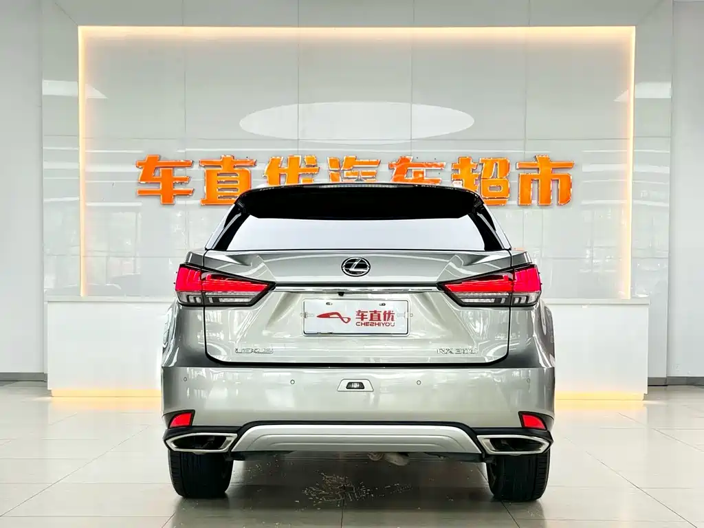 Lexus RX 2020 300 Elegant VI