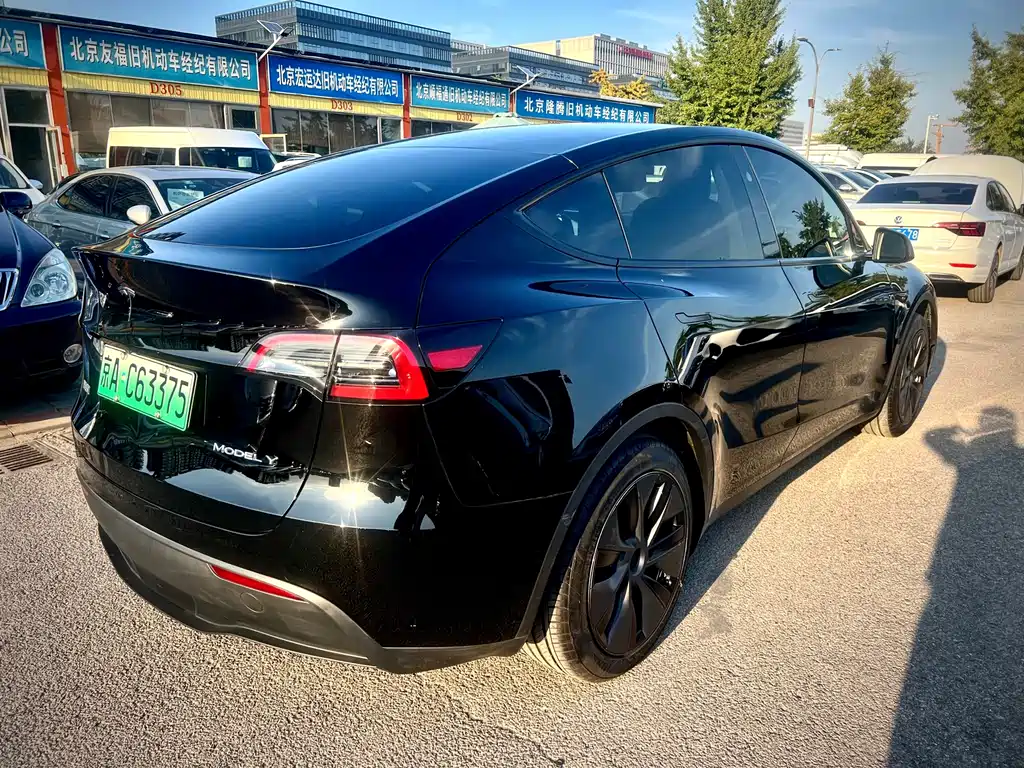 Tesla Model Y — миниатюра 5