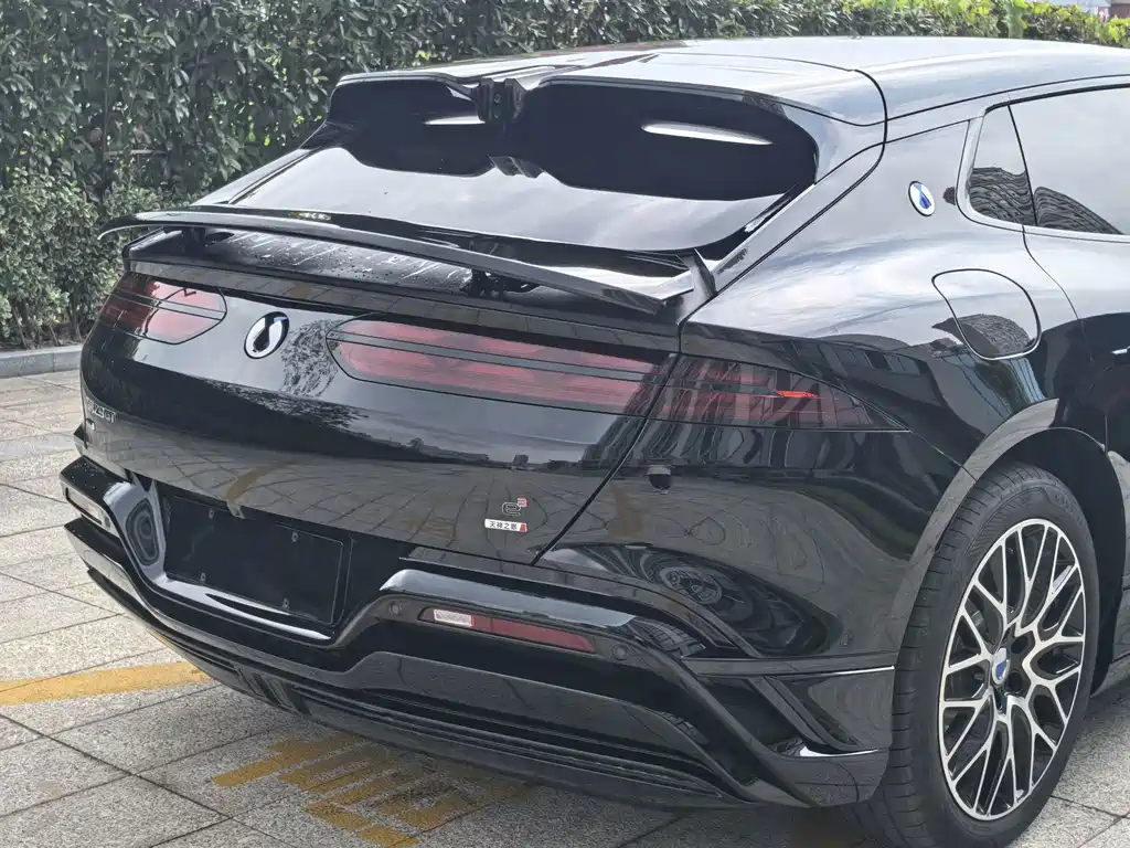 Denza Denza Z9GT — миниатюра 12