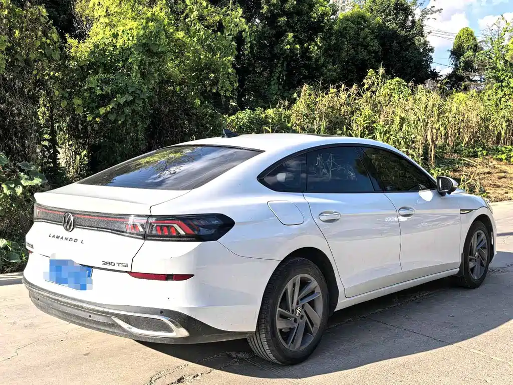Volkswagen Lamando — миниатюра 7