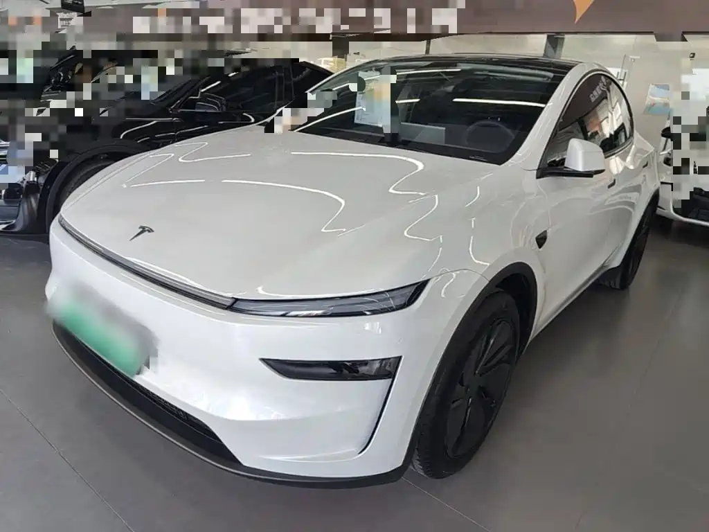 Tesla Model Y — миниатюра 2