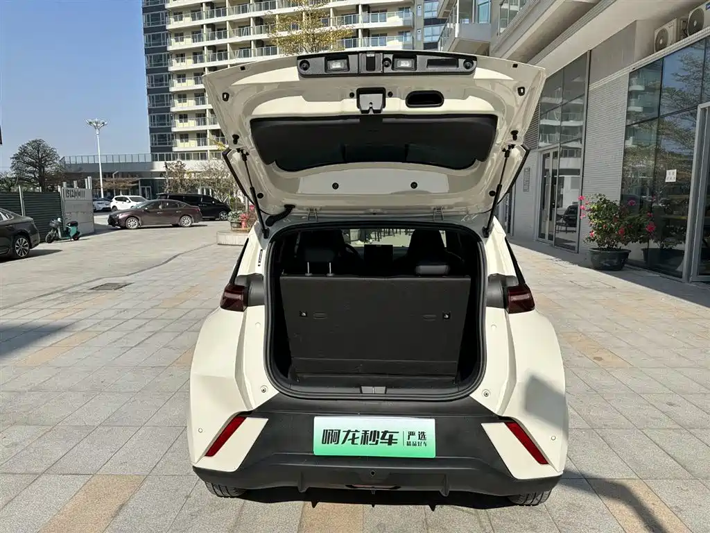 BYD SEAGULL