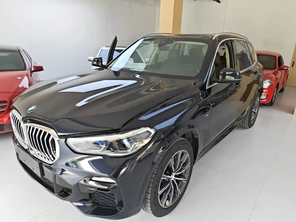 BMW X5 (Import) — миниатюра 2