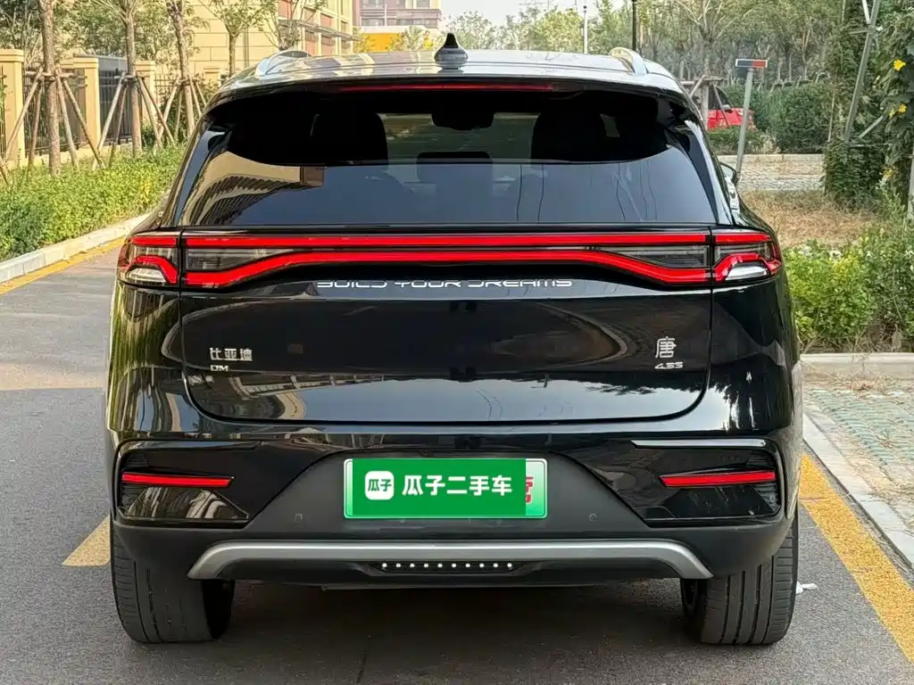 BYD Tang New Energy — миниатюра 6