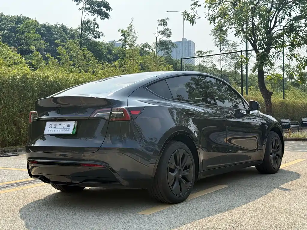 Tesla Model Y — миниатюра 11