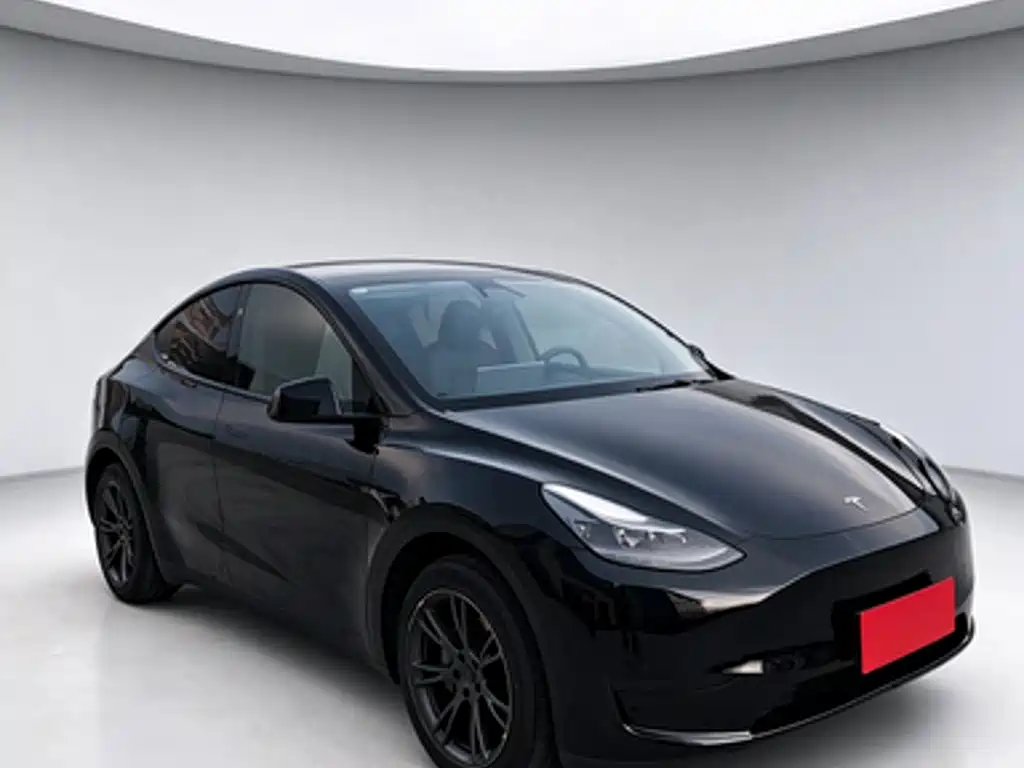 Tesla Model Y — миниатюра 3