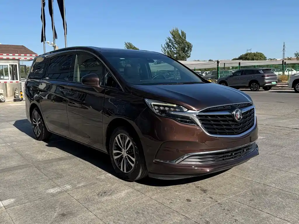 Buick GL8 — миниатюра 9