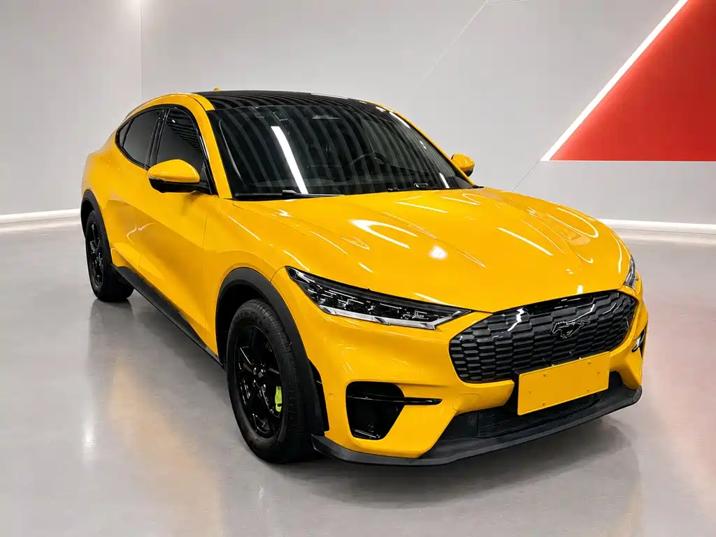 Ford Mustang Mach-E — миниатюра 3