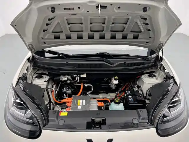 Wuling Bingo — миниатюра 14