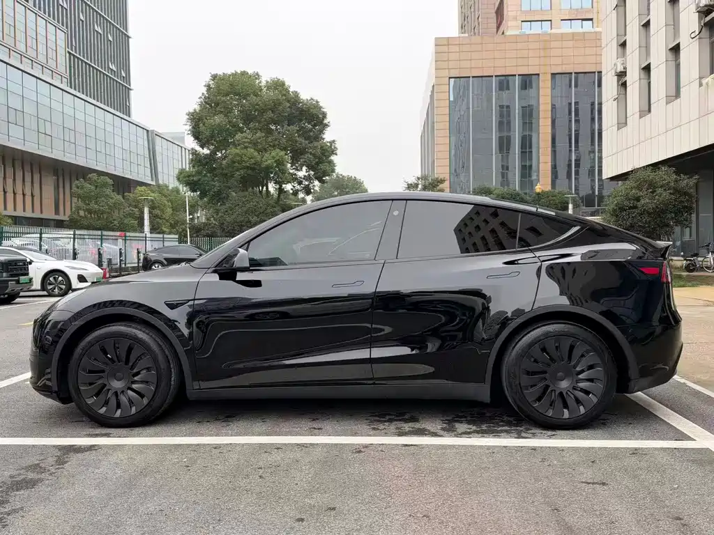 Tesla Model Y — миниатюра 3