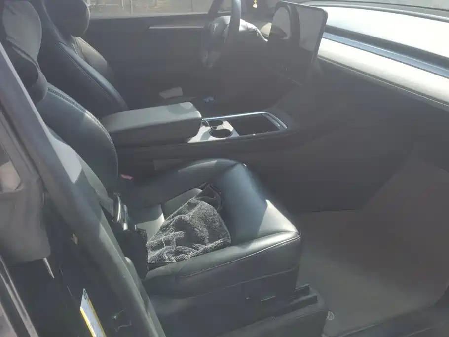 Tesla Model Y — миниатюра 8