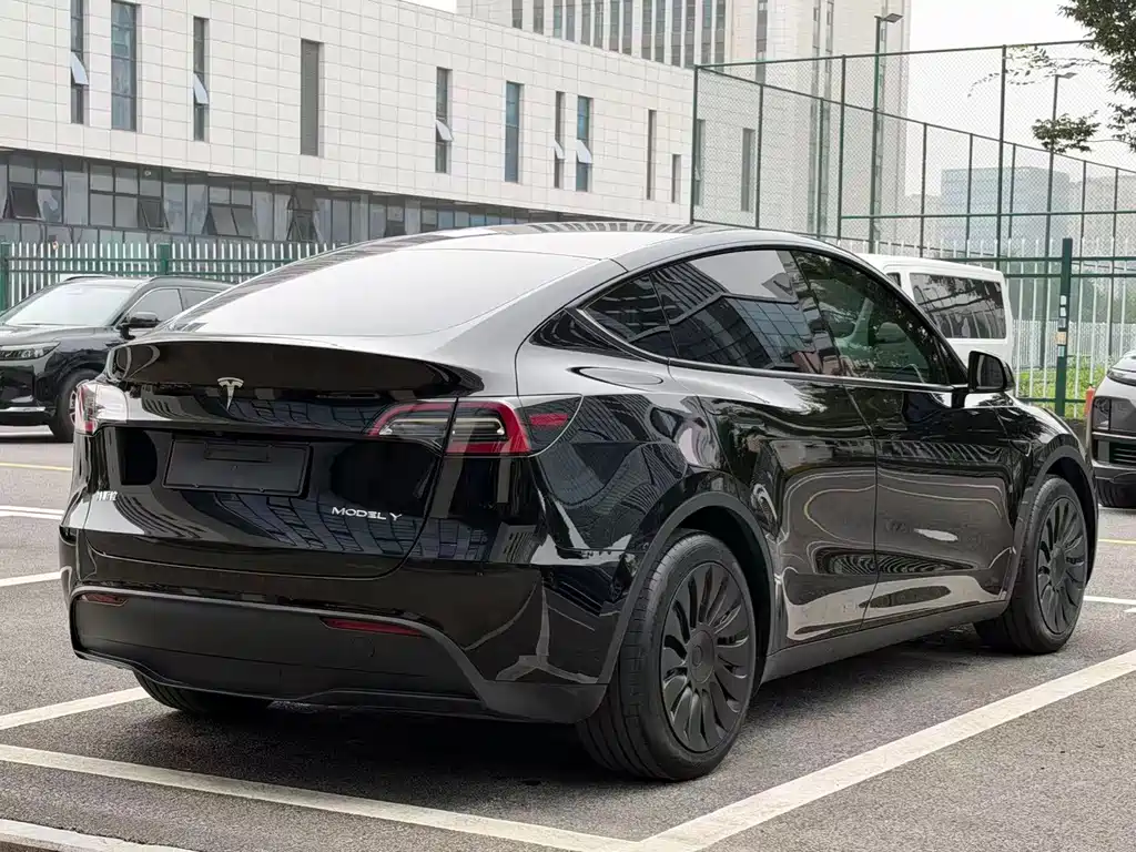 Tesla Model Y — миниатюра 6