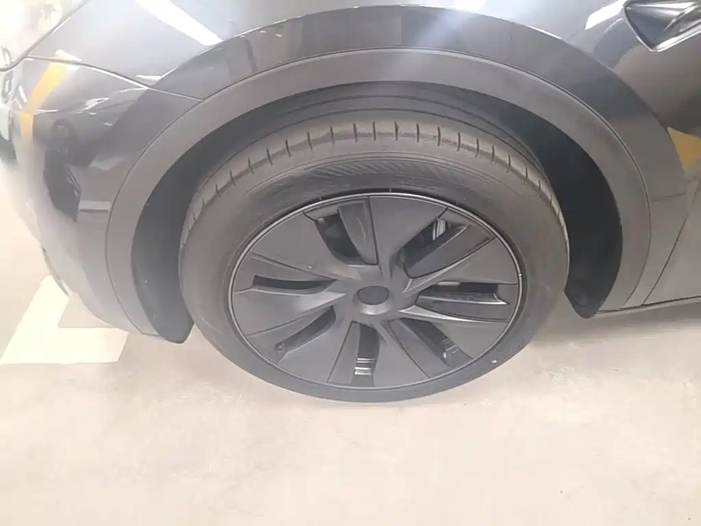 Tesla Model Y — миниатюра 23