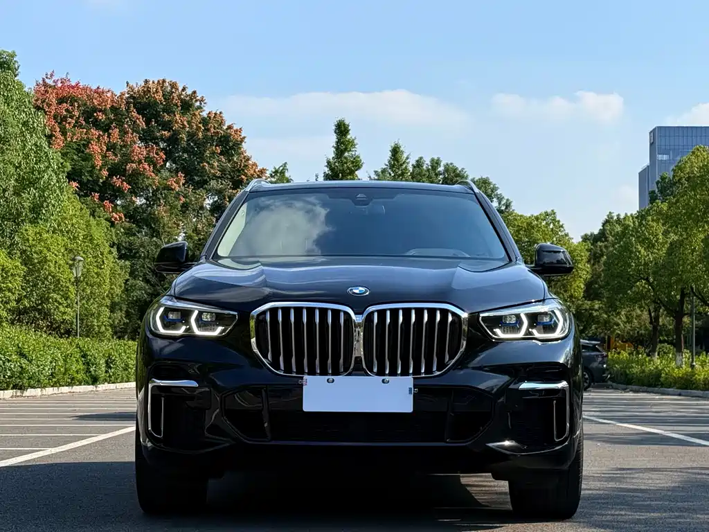 BMW X5 — миниатюра 4