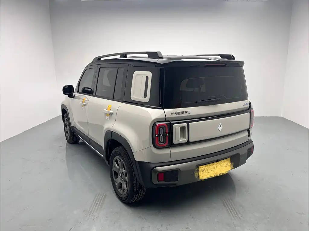 BAOJUN YUE ALSO PLUS