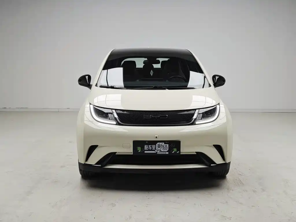 BYD Dolphin — миниатюра 2