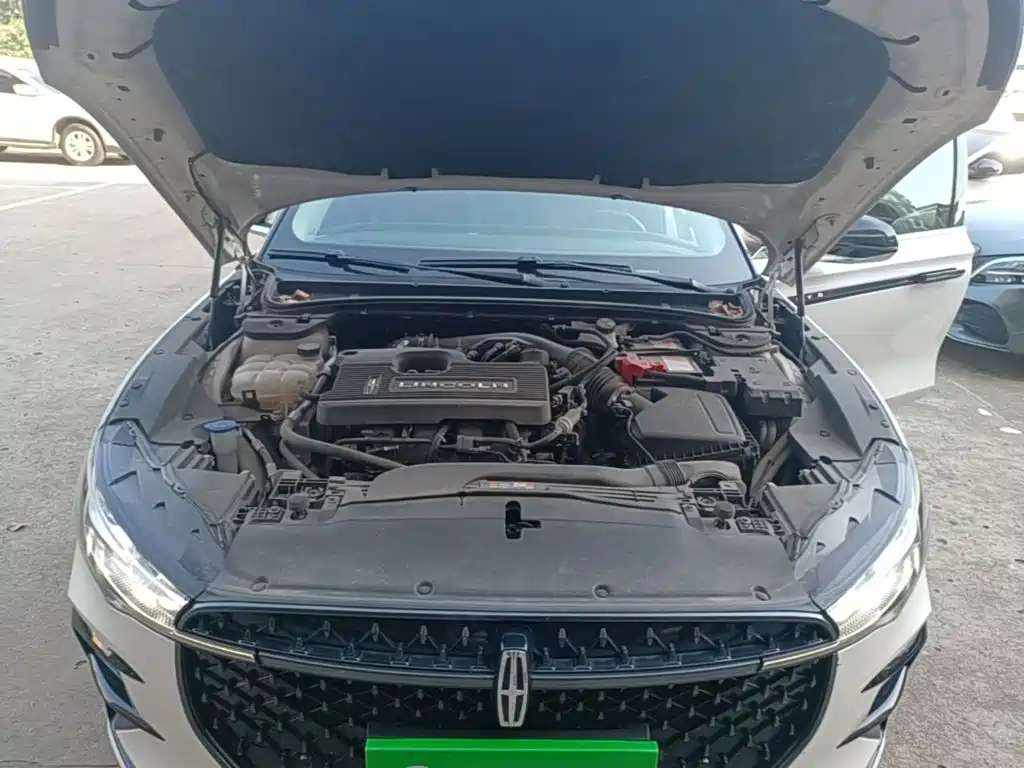 Lincoln Z — миниатюра 20