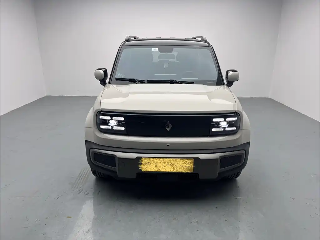 BAOJUN YUE ALSO PLUS