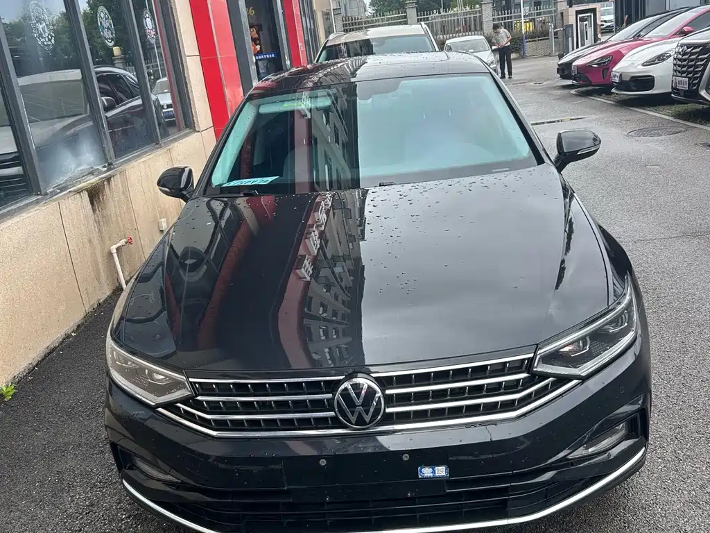 Volkswagen Magotan — миниатюра 2